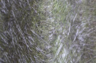 Rumney fibreglass roof work