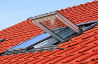 Rumney roof window